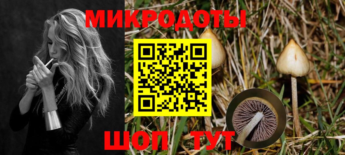 наркотики  Псилоцибиновые грибы Psilocybe  Вход с VPN  Москва 