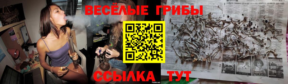 Галлюциногенные грибы прущие грибы Москва